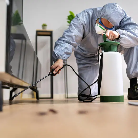 Pest control