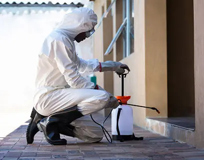 Pest control